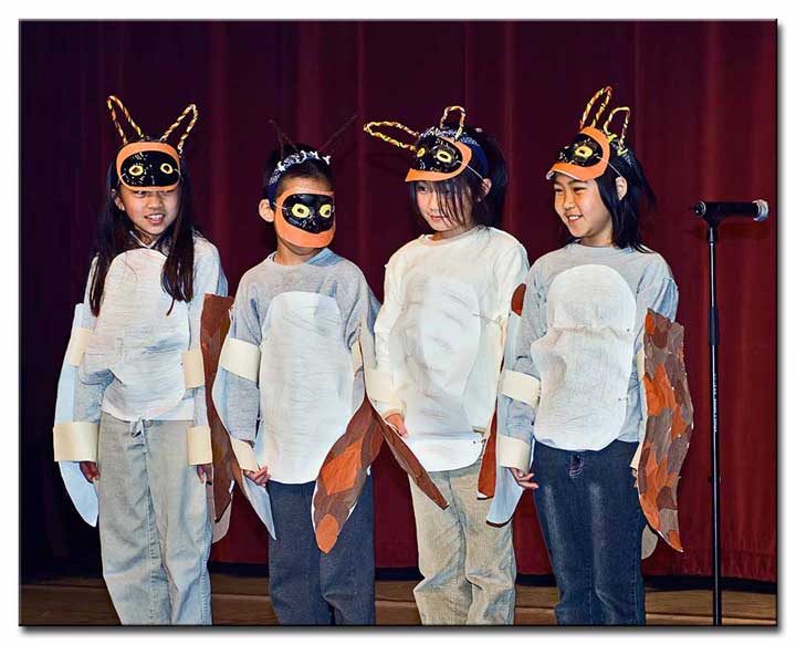 Great Horned Owls - John Yehall Chin Elementary School