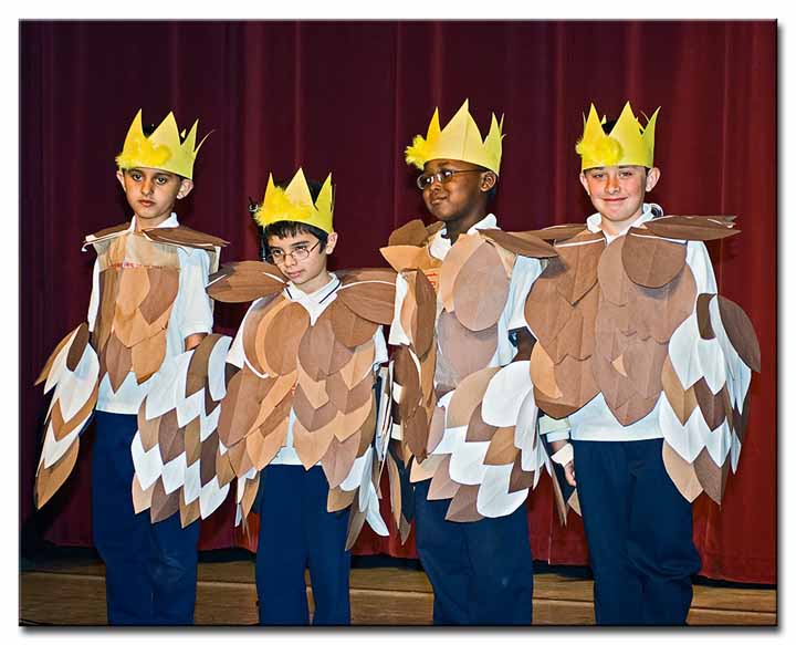 Golden-Crowned Sparrows - Jose Ortega Elementary School