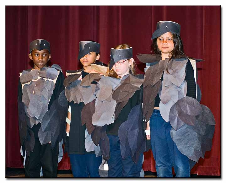 Common Ravens - Jose Ortega Elementary School